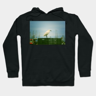 Snowy Egret Hoodie